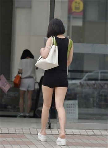 女主叫子规男主姓陆的小说
