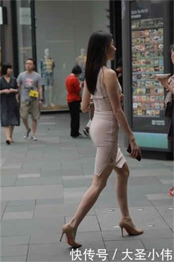 大象回家视频不迷路