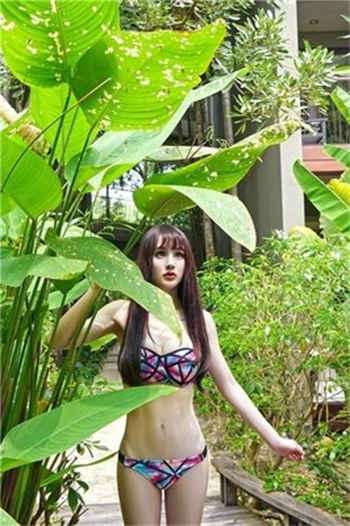 quella沈樵我的数学老师