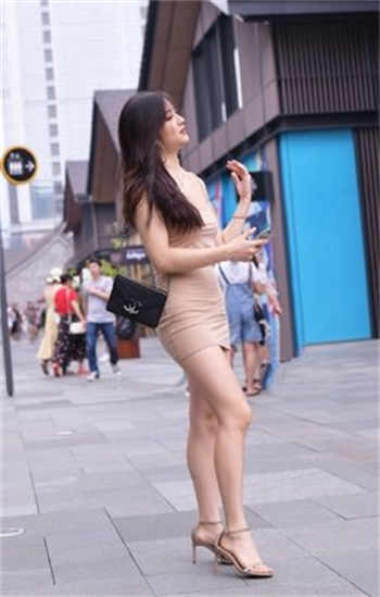 猫爪小秘密app