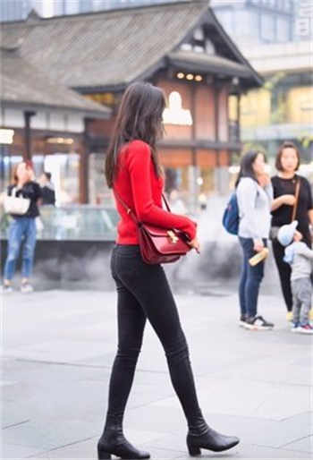 花粉俱乐部安装不了