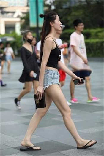 高僧有点撩txt